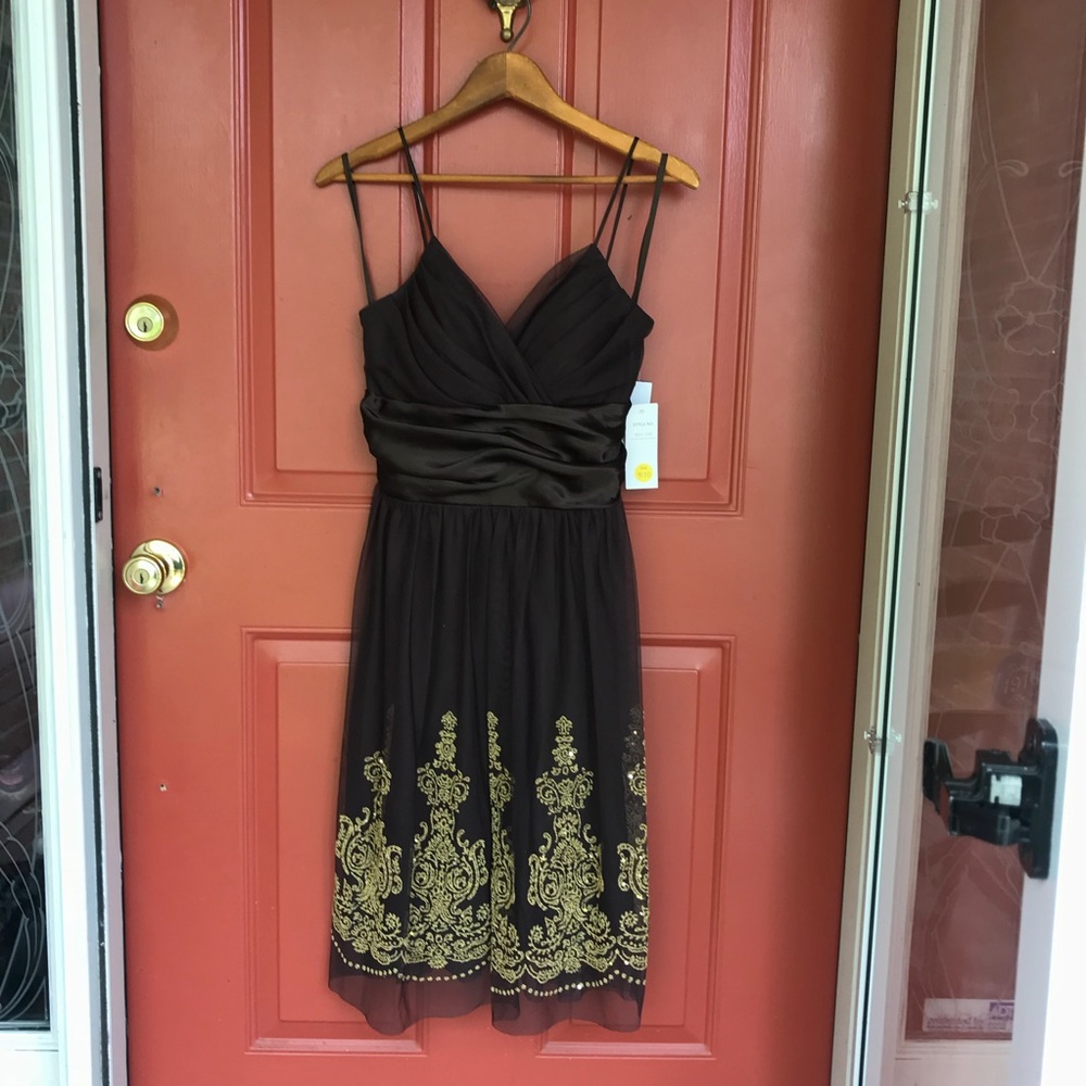 NWT • Alyn Paige • Semiformal Chiffon TuTu Dress